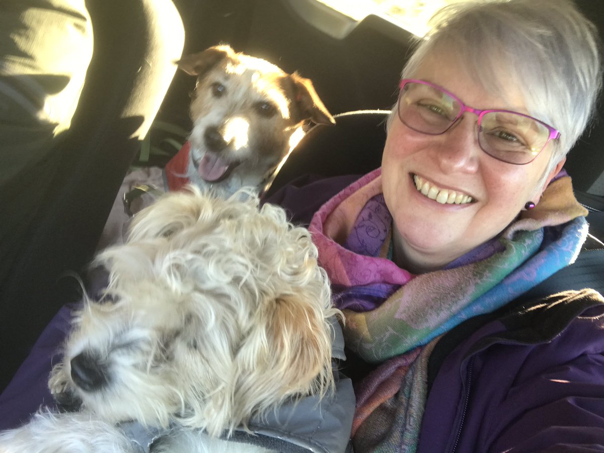 #Thread
Reflections on a very late in life #autism #diagnosis. 
Six years ago I realised that I might be #Autistic.
I am 64 now.
Here are some thoughts about what has happened since then. 
#ageing
1/