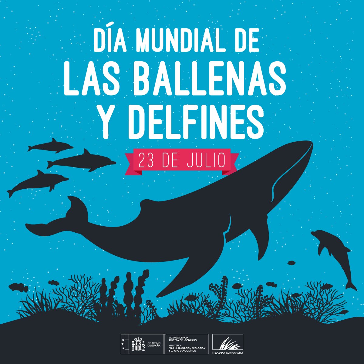 Proteger a las ballenas 🐳 y los delfines 🐬 es vital para mantener un océano sano:

🐟 Mantienen el equilibrio natural del océano
💩 Fertilizan los ecosistemas marinos
💨 Ayudan a combatir la crisis climática

#DíaMundialdelasBallenasylosDelfines