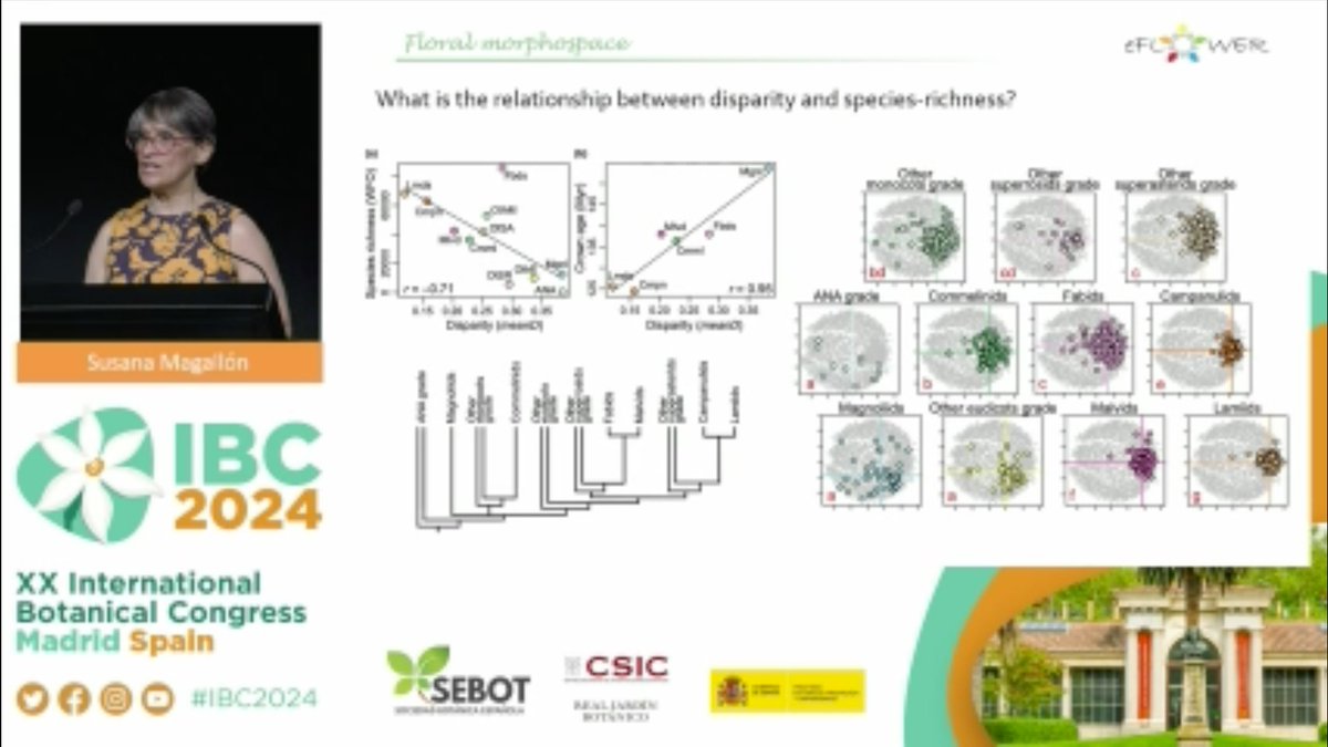 Daniele Cicuzza tweet media