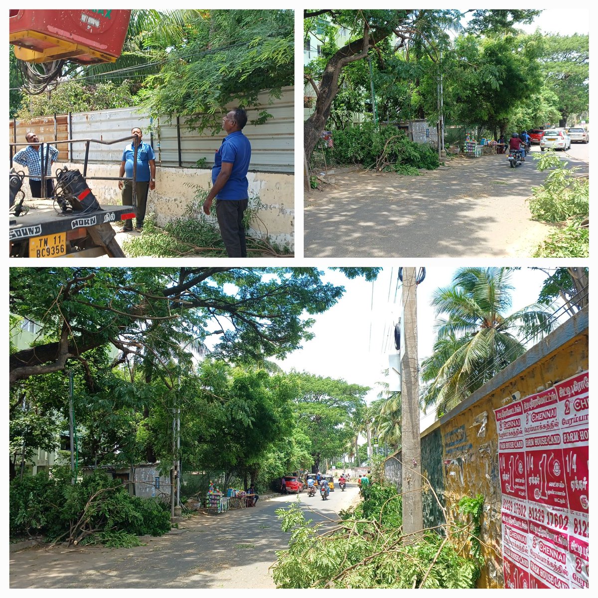 pugalventhan_91's tweet photo. EB line is in right side, why the hell did you chopped #trees from last side of #Chettiyaragaram road?
@chennaicorp #Zone11 #division150

I want those branches back, I want that shadows again!

Ok, why is your staff hesitate to answer when public ask question?
@TANGEDCO_Offcl https://t.co/GqsbAneYjB