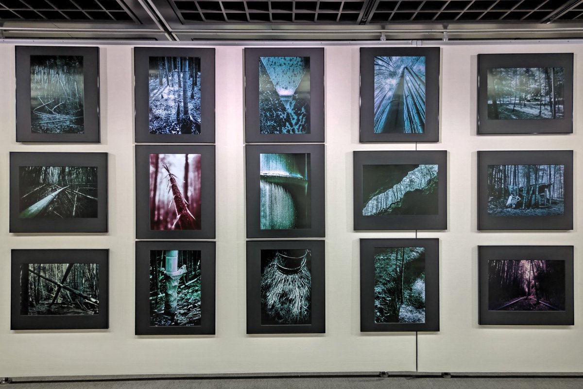 第19回京都現代写真作家展受賞者記念展
7月24日〜28日10時から18時京都文化博物館5階　大変暑い時期の開催ですが、是非ともご来場ください。
＃京都現代写真作家展