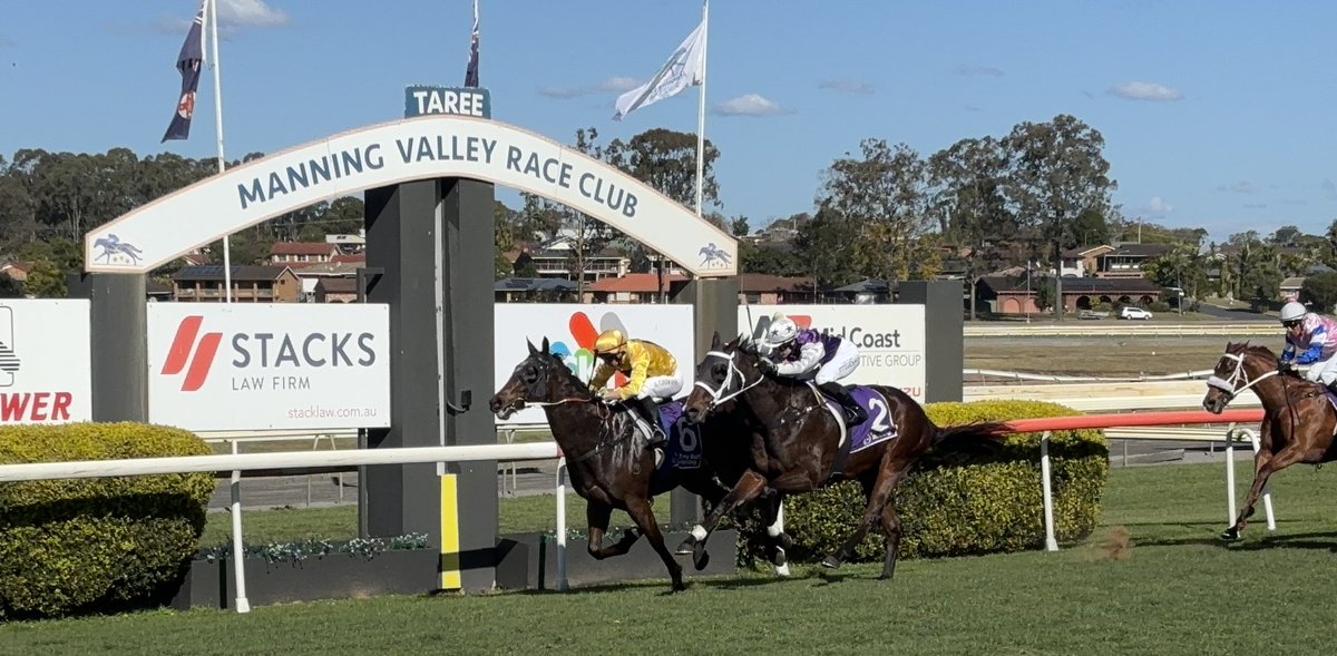 ManningClub's tweet photo. Wandjad takes out the 1st at @ManningClub for @Wilkes_Racing &amp; @gibbo7822 
Congratulations to Wayne &amp; the team, Andrew &amp; owner June Baker. https://t.co/anL2Xg0Clj