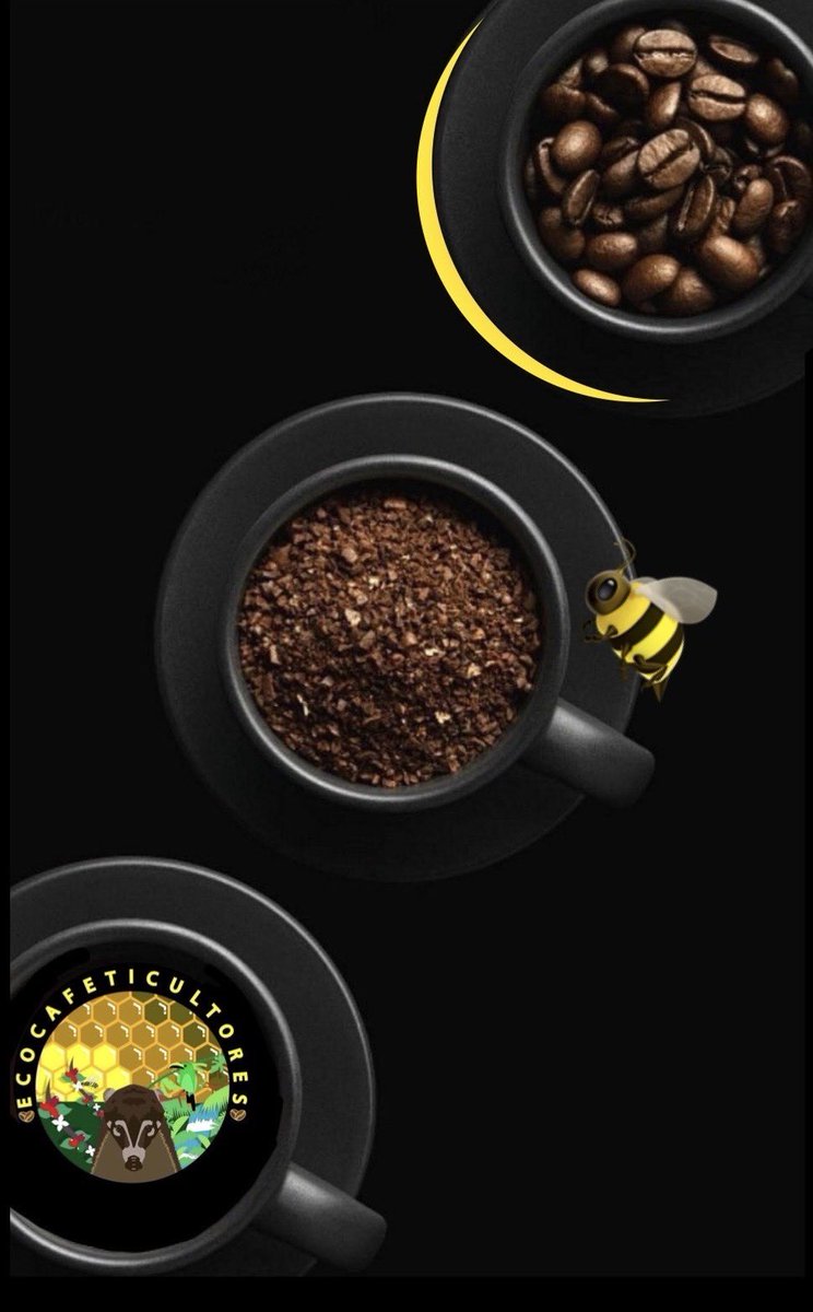 zandleon's tweet photo. ECOCAFETICULTORES OAXACA 

Miel de la Montaña &amp; Café de Altura de San Miguel del Puerto, Oaxaca. https://t.co/hOqN8ktxoC