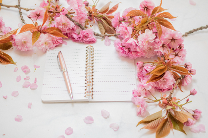 Fitch Max tweet media