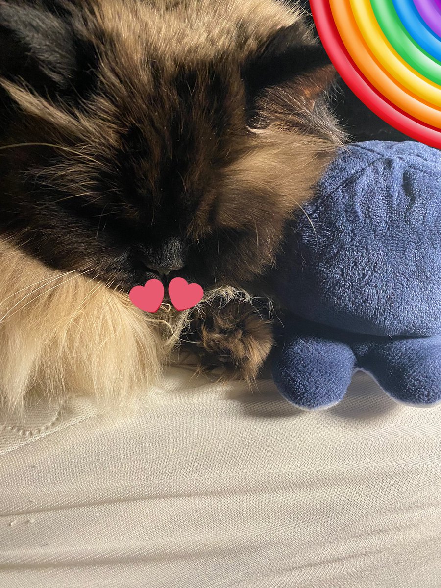 TheCrustyCash's tweet image. 🌈 just a reminder!🌈
Cash’s account is welcoming to all, but we do not tolerate discrimination in any way shape or form. we are:
•pro LGBTQ+ (ran by momb, a queer)
•pro BLM
•pro-choice
•pro palestine
•anti-terf
•anti-trump
this account is a safe-space! 🫶🏽🫶🏽