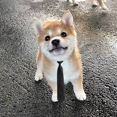 x0DegenDev's tweet photo. @SharksCoins $SHIBI for sure
F2JXBTKnwqPk2WXTevpXoisvsXXpJVCG34mbA5y6pump https://t.co/ymM6e66D8F