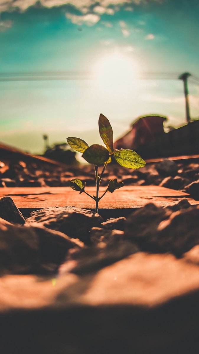 MuyengaSSunset's tweet photo. A foot hold today is a trademark for future generations!
How can we collaboratively create sustainable strategies that protect both the environment and the health sector?
#RotaryAction
#Climateresilience https://t.co/D0PmMipsTg