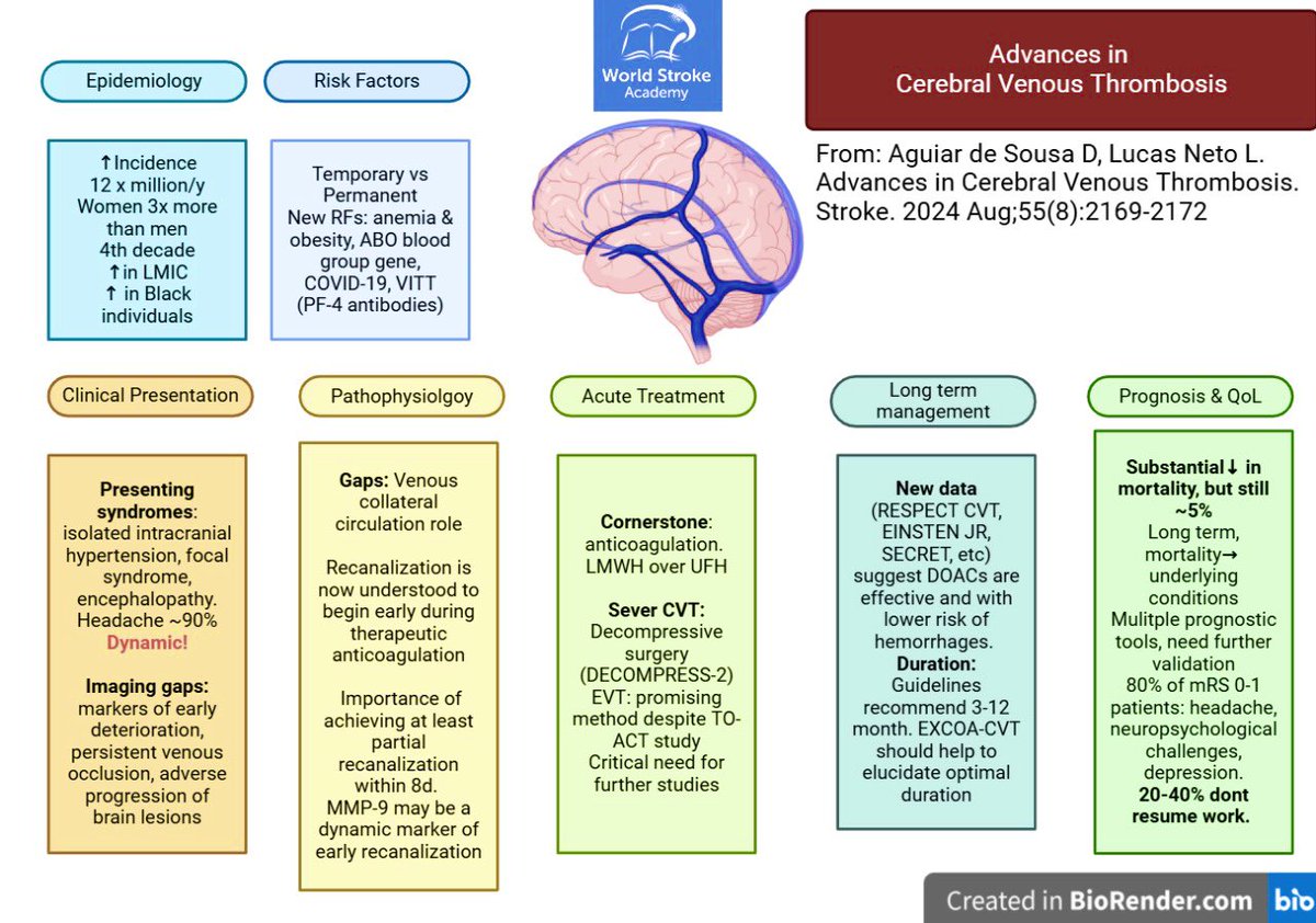 World Stroke Academy (@worldstrokeed) on Twitter photo #MondayTip
Advances in Cerebral Venous Thrombosis
#CVT
From recent review by <a href="/Diana_A_Sousa/">Diana Aguiar de Sousa</a> and <a href="/LiaLucasNeto/">Lia Lucas Neto</a> in <a href="/StrokeAHA_ASA/">Stroke AHA/ASA</a>
#OpenAcces
ahajournals.org/doi/full/10.11… #MondayTip
Advances in Cerebral Venous Thrombosis
#CVT
From recent review by <a href="/Diana_A_Sousa/">Diana Aguiar de Sousa</a> and <a href="/LiaLucasNeto/">Lia Lucas Neto</a> in <a href="/StrokeAHA_ASA/">Stroke AHA/ASA</a>
#OpenAcces
ahajournals.org/doi/full/10.11…