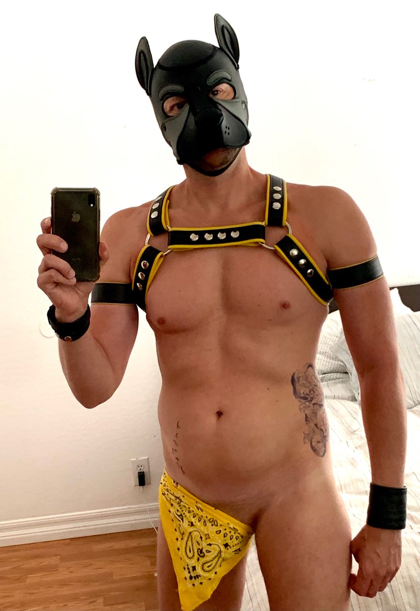 SeaBlondCumDump's tweet photo. This is what I wore for #UpYourAlley last yearโ it was quite popular. Time to figure out my #Dore2024 attireโthis year with a better tan! Maybe something more subtle.
Whoโs gonna be there? ๐๐
Iโll be at Beta and TBD. https://t.co/z3j6C3XsxD