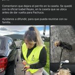 Photo by Marcha x animales (@Marchaxanimales)