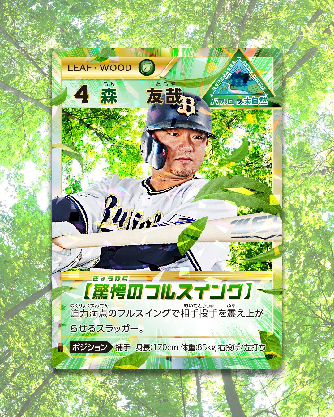 Bsスーパースターパック（バファローズ大自然） | オリックス