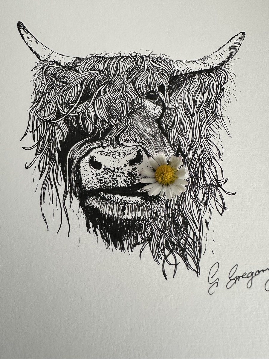 GailGre59728262's tweet photo. Good Morning 😊
“Daisy Daisy”
My Highland cow with a strategically placed daisy 😊
Enjoy your day everyone 😊 https://t.co/SIPN8uSCS5
