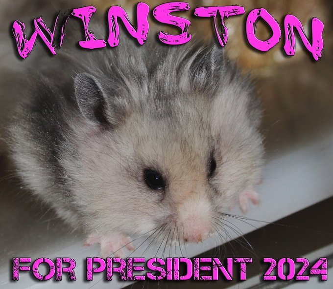 🇵🇸Israel Is A War Crime🇵🇸 🇺🇦 tweet media