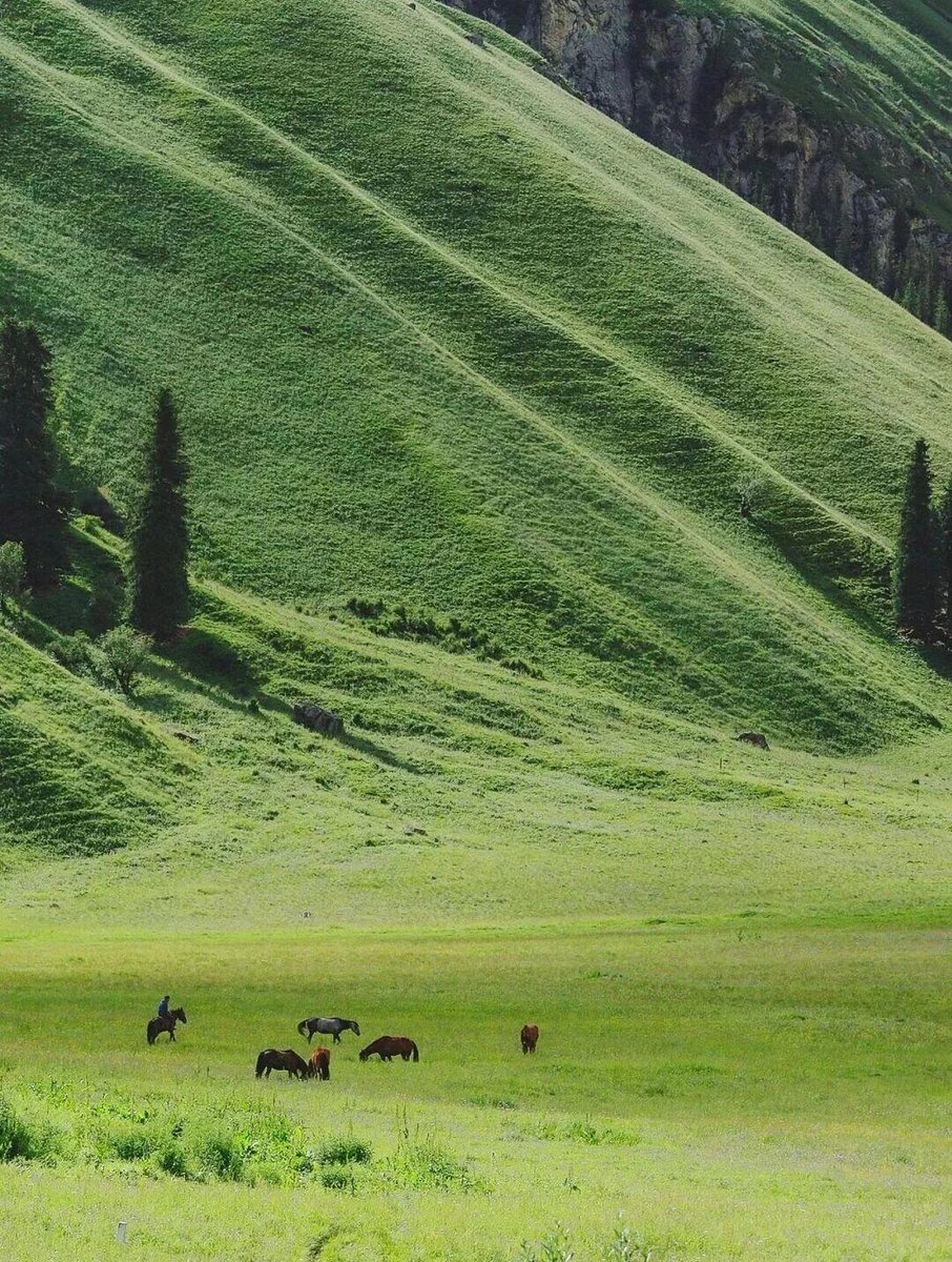 JuddMarleii's tweet photo. ���*Hide in the green and peek at the summer🍃 https://t.co/Ird8x8stX3