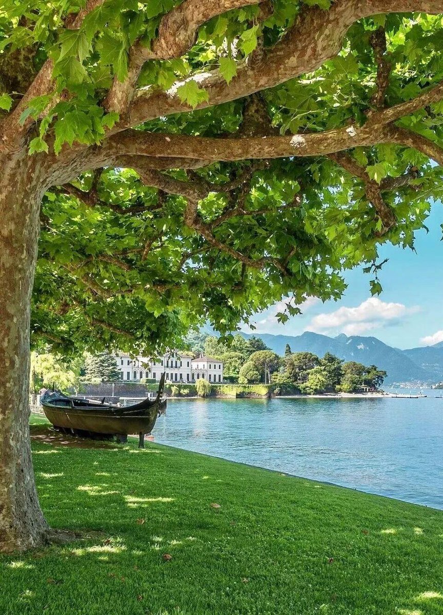 JuddMarleii's tweet photo. ���*Hide in the green and peek at the summer🍃 https://t.co/Ird8x8stX3