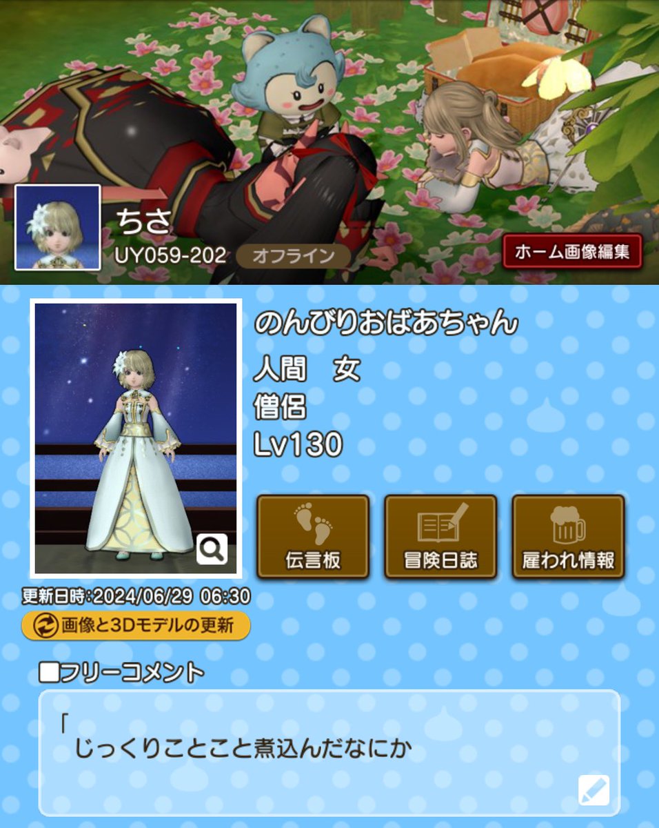 ドラクエ10のプロフィールカード作ってみました(*´∀`) まだ何もわから