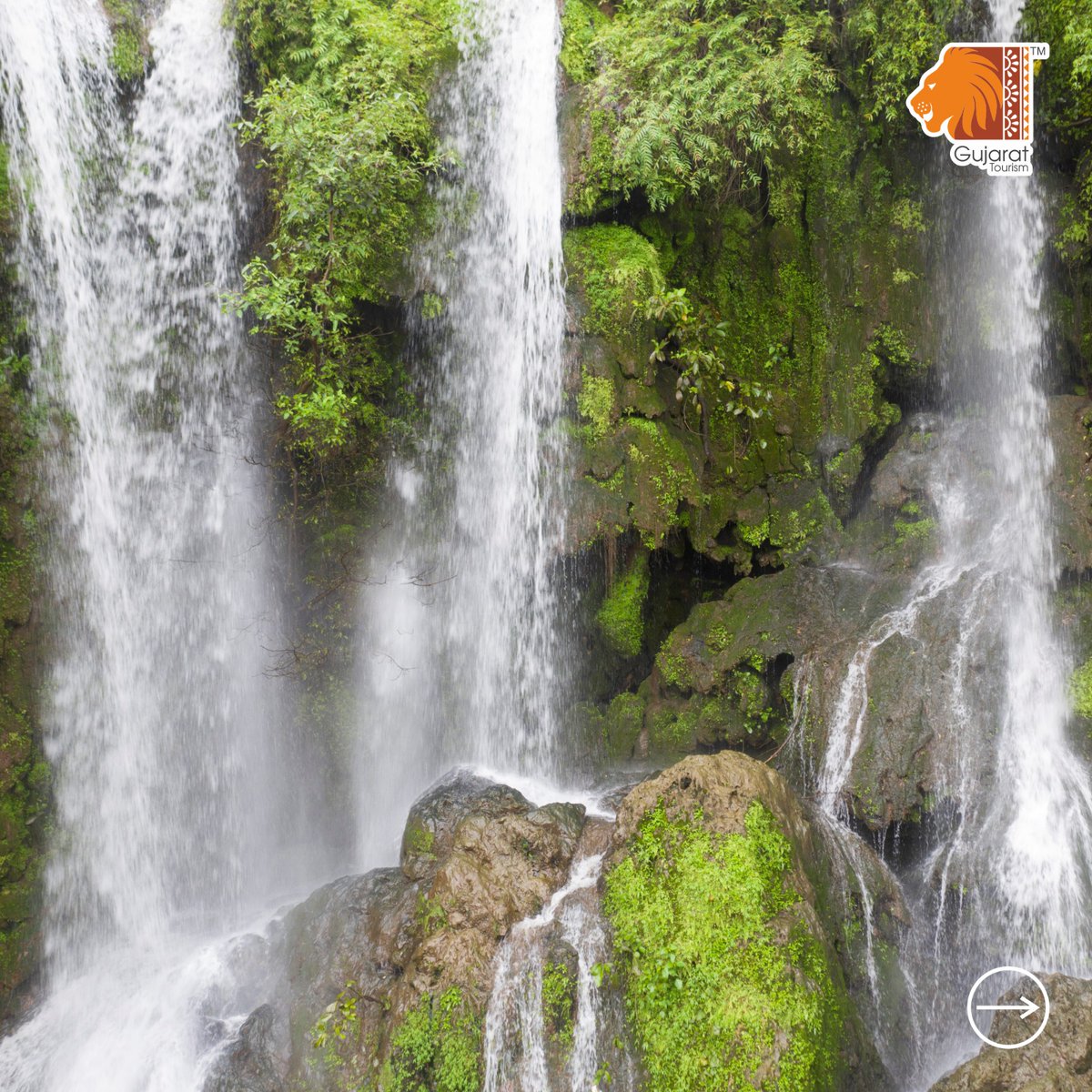 GujaratTourism's tweet photo. Make the most of the monsoon this season by visiting the beautiful Hathni Mata Waterfall in Payoli near Jambughoda. Allow the spellbinding flow of water amidst pristine green take you on a pleasure trip. 

📍Hathni Mata waterfall, Jambughoda

@Mulubhai_Bera 

#gujarattourism #gujarat #tourism #waterfall #hathnimatawaterfall #waterfallingujarat #monsson #monsoonseason #monsooningujarat