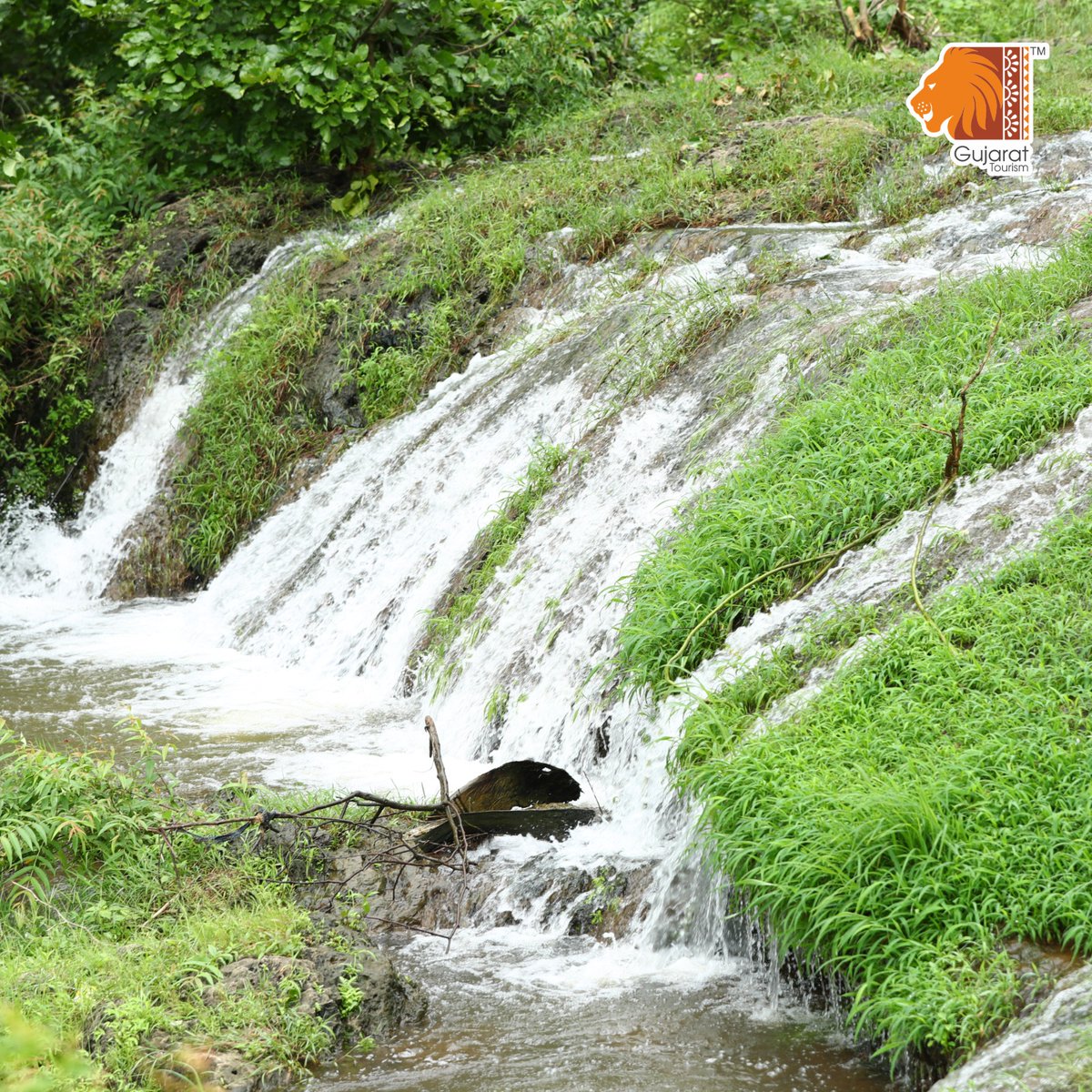 Make the most of the monsoon this season by visiting the beautiful Hathni Mata Waterfall in Payoli near Jambughoda. Allow the spellbinding flow of water amidst pristine green take you on a pleasure trip. 

📍Hathni Mata waterfall, Jambughoda

<a href="/Mulubhai_Bera/">Mulubhai Bera</a> 

#gujarattourism