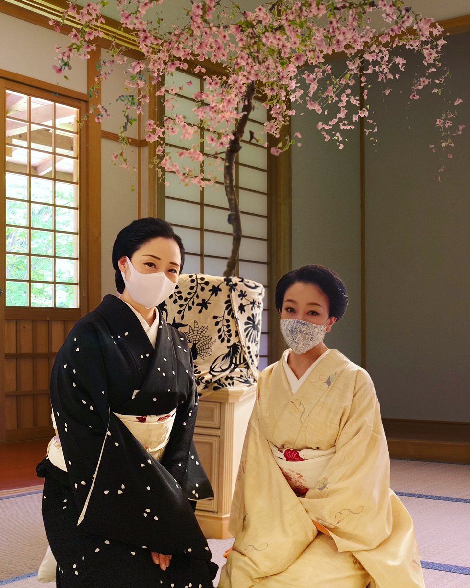 京都　祇園　舞妓うちわ　奥川職人さんの手作 野村　（豆千鶴さん） 京都祇園舞妓うちわ奥川職人さんの手作 野村（豆千鶴さん）