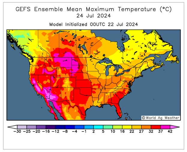 Spiga Dorata tweet media