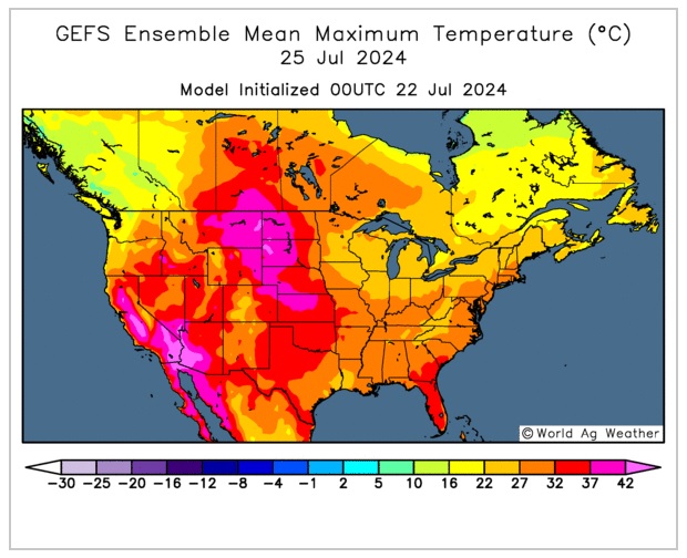 Spiga Dorata tweet media