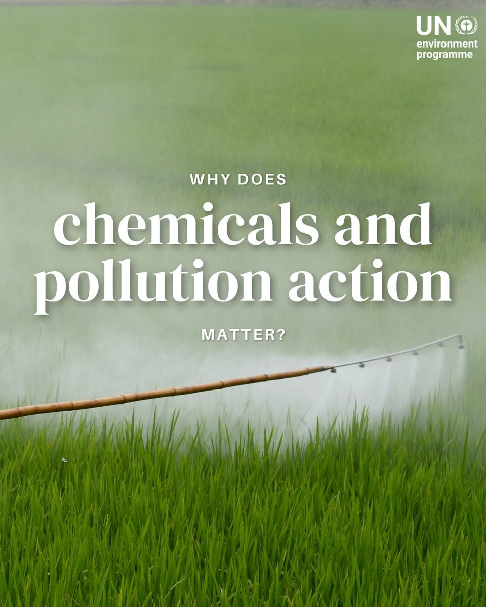 UNEP's tweet image. The Global Framework on Chemicals adopted in 2023 paves the way for a planet free of harm from chemicals and waste towards a safe, healthy and sustainable future.

UNEP works to minimize the adverse effects of chemicals and pollution: unep.org/topics/chemica…