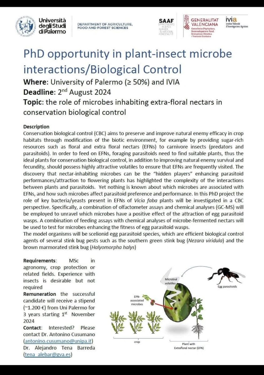 WasimJavaid8's tweet photo. Position: PhD in plant insect microbe interactions/biological control
University of Palermo
Deadline: August 2, 2024
Contact: Dr. Antonino Cusumano antonino.cusumano@unipa.it
#phd #PhDlife #scholarship #italy #entomology #biology https://t.co/DHzfhRoOP5