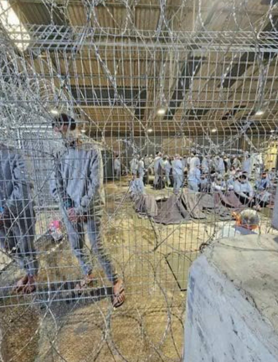 The Israeli "Sde Teiman" is much worse than “Guantanamo.”

36 killed in "Sde Teiman" in the past 9 months due to sodomy (rape) and electric chairs to torture Palestinians

9 prisoners died in “Guantanamo” over 20 years.
