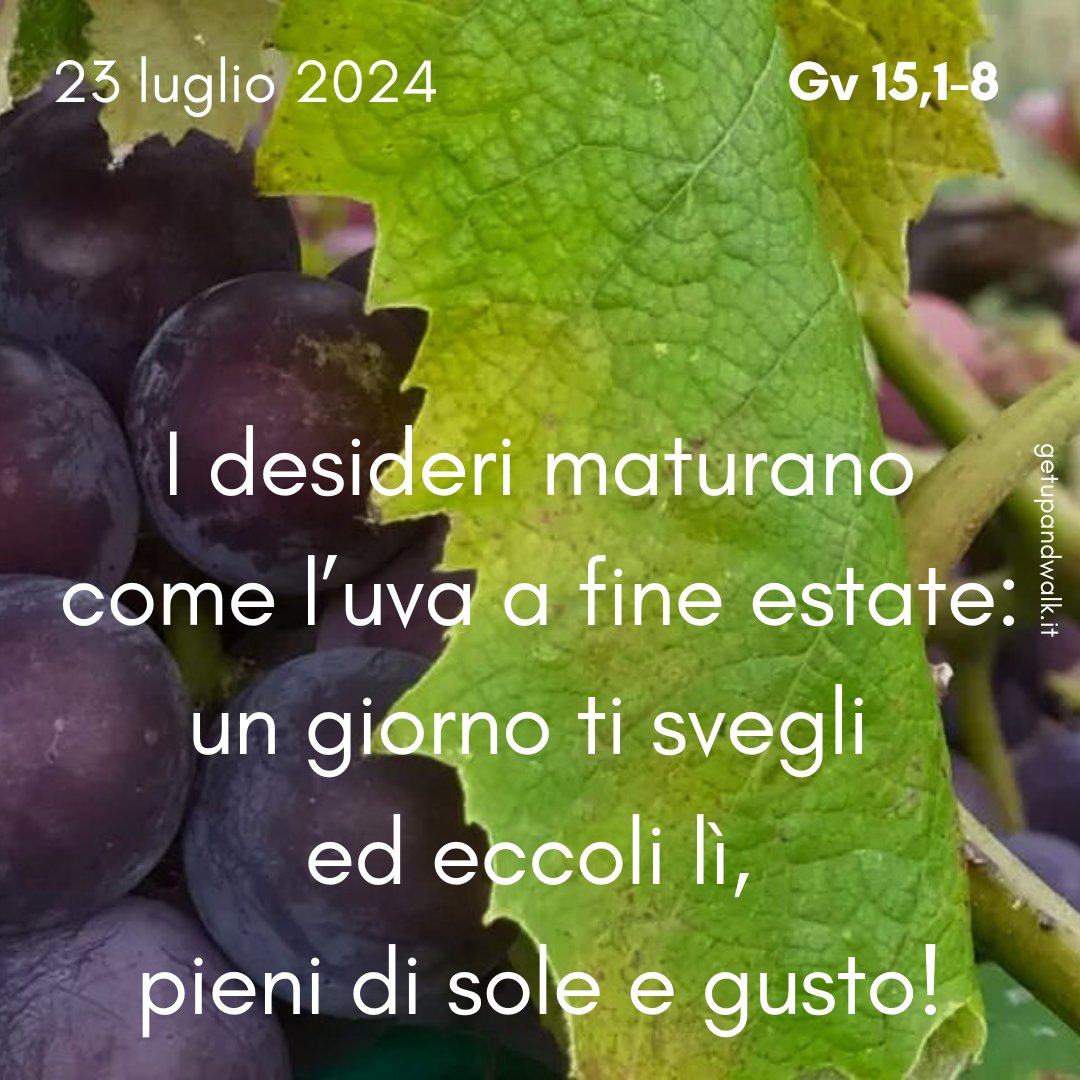 _getupandwalk_'s tweet image. Cammino da sempre con #desideri che cercano di essere #colmati, stelle che aspettano di far capolino e #illuminare il #cammino notturno.

getupandwalk.gesuiti.it/2024/07/23/com…