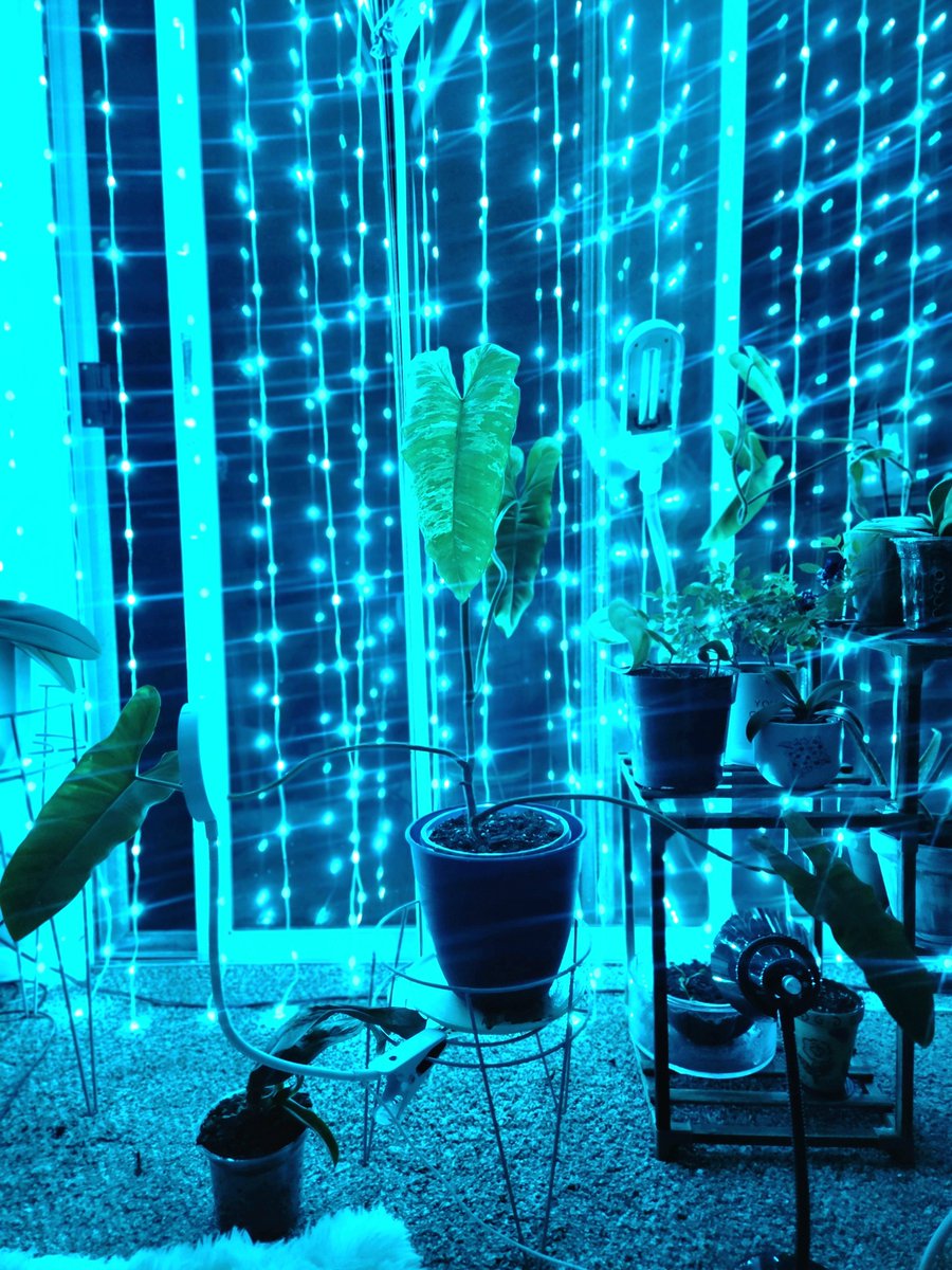 carmesi_rosa's tweet photo. I feel like I'm in space. https://t.co/ruWNFh3i1e