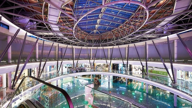 Ash Müller tweet media