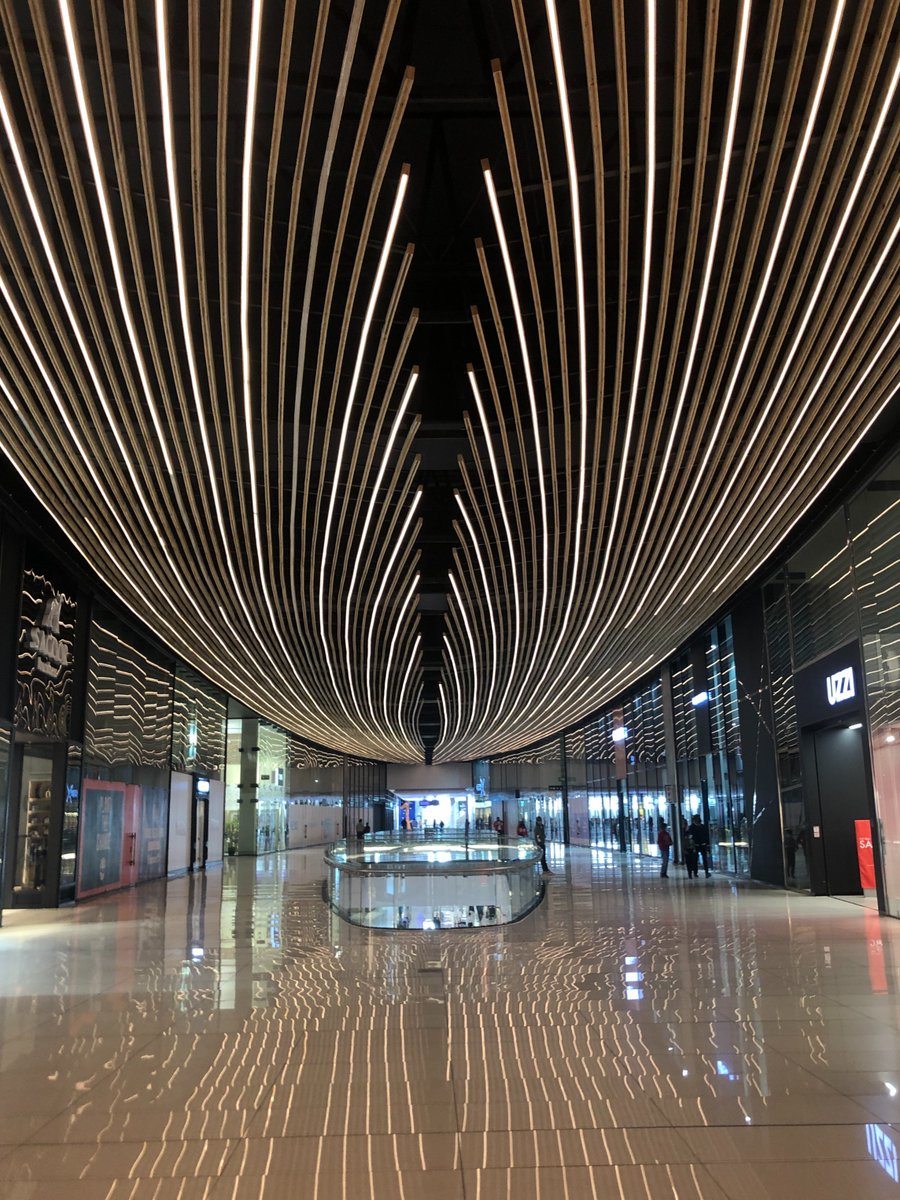 Ash Müller tweet media