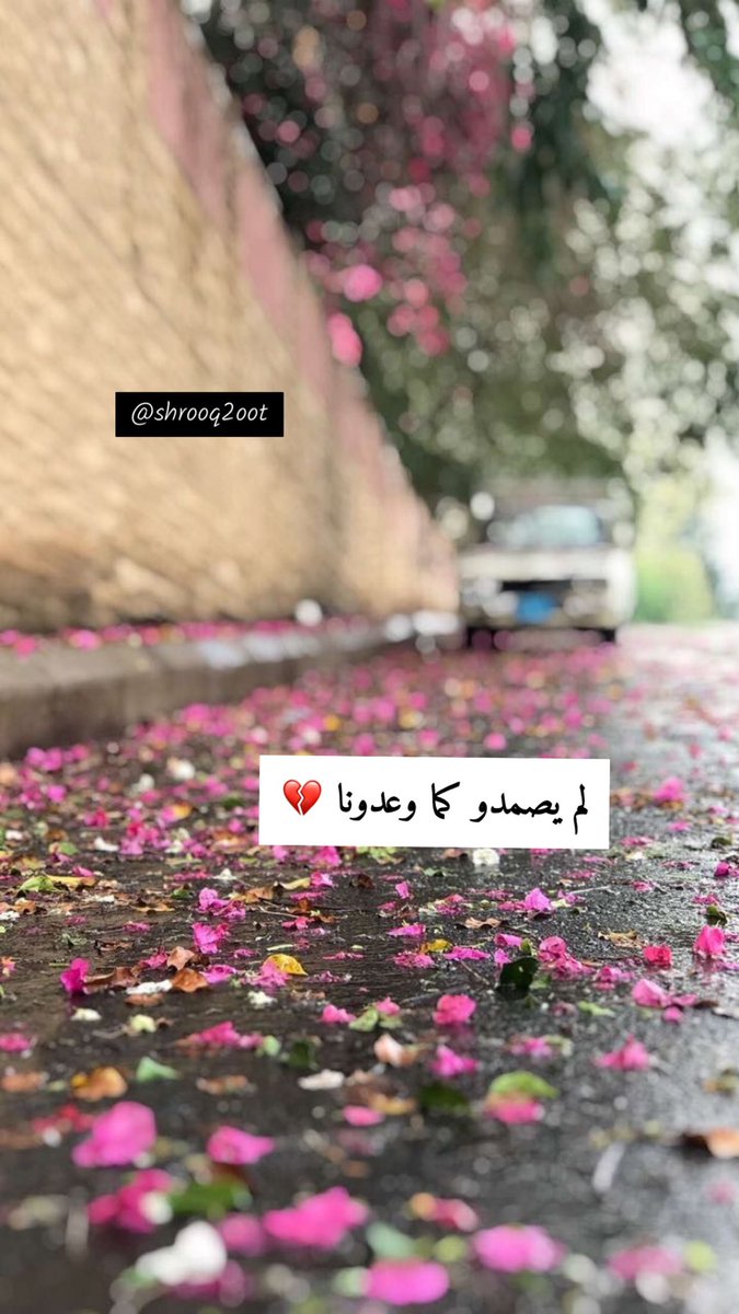 #فضفضه_مشاعر
حتى المشاعر  لها خريف 🍂🍂