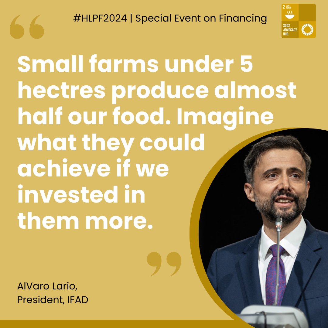 SDG2AdvocacyHub (@sdg2advocacyhub) on Twitter photo Thanks to <a href="/IFADPresident/">Alvaro Lario</a> for highlighting smallholders' plight at #HLPF2024. They are crucial to our food systems and with incentives amidst climate challenges, can scale up food security for all. <a href="/IFAD/">International Fund for Agricultural Development</a> <a href="/hlpe_cfs/">HLPE-FSN</a> Thanks to <a href="/IFADPresident/">Alvaro Lario</a> for highlighting smallholders' plight at #HLPF2024. They are crucial to our food systems and with incentives amidst climate challenges, can scale up food security for all. <a href="/IFAD/">International Fund for Agricultural Development</a> <a href="/hlpe_cfs/">HLPE-FSN</a>