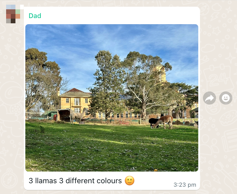 Marie Ng 🦙 tweet media