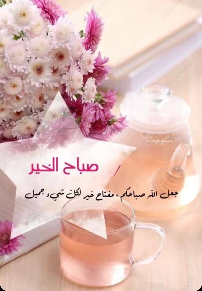 فاطمة عبدالعزيز 🇸🇦 tweet media