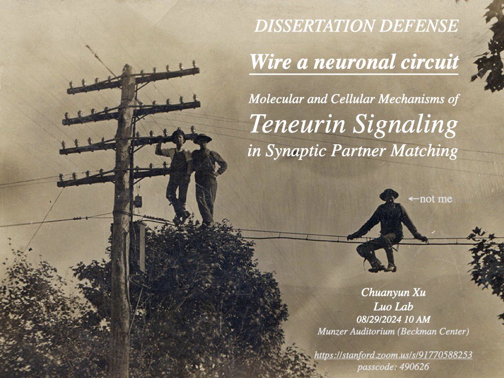 Raiseemhigh's tweet image. Working on wiring like in the old times