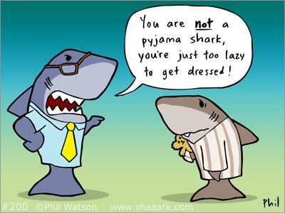 White Shark Projects tweet media