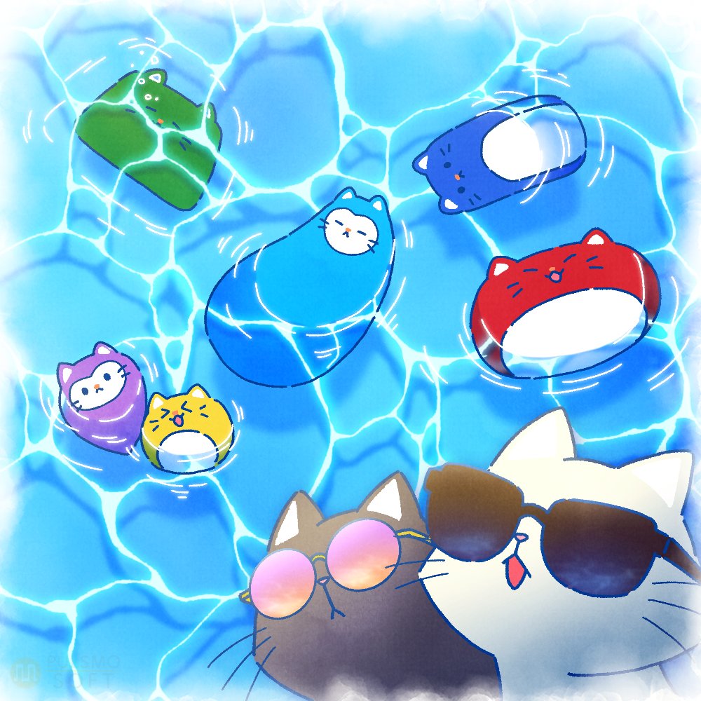 快晴の暑い日は水遊び日和☀ 猫玉は水もへっちゃらみたい…？ A sunny