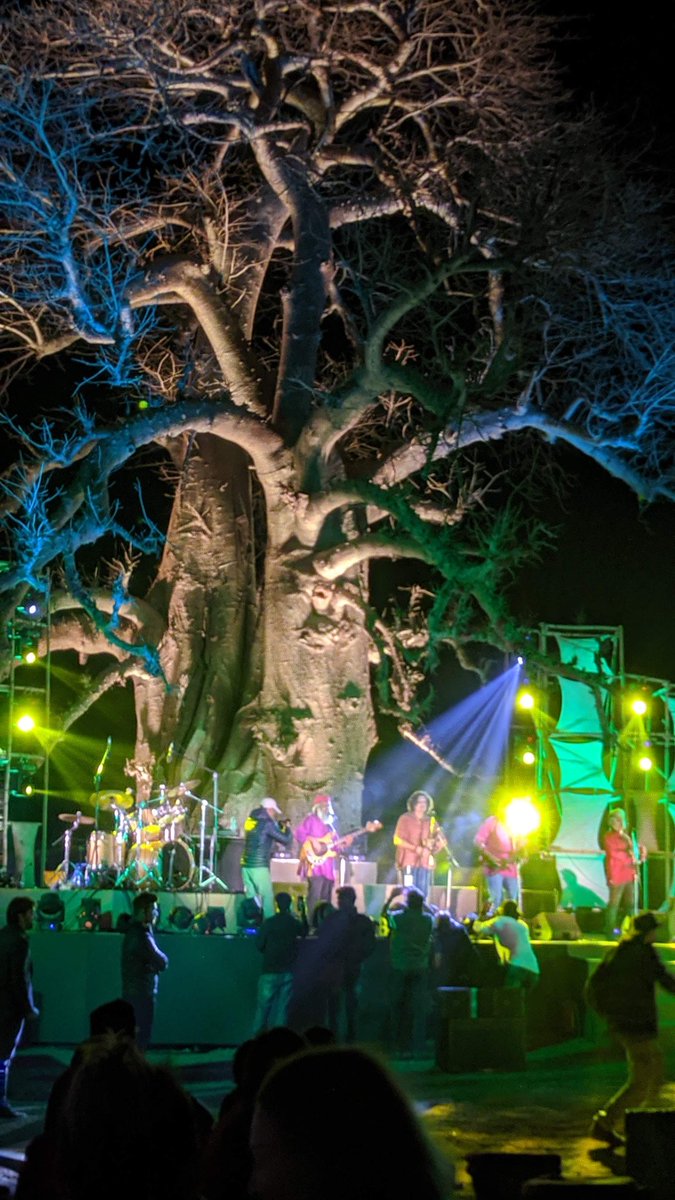 HatuaArghyadip's tweet photo. Did you know? The Baobab tree in Orchha is believed to be over 500 years old! 🌳 This ancient tree, known for its massive trunk and longevity, is a symbol of resilience and endurance. Let's celebrate and protect our
#OldTreesOfIndia.#LivingHeritage #BaobabTree #WorldHeritage https://t.co/3yipzyiFZD