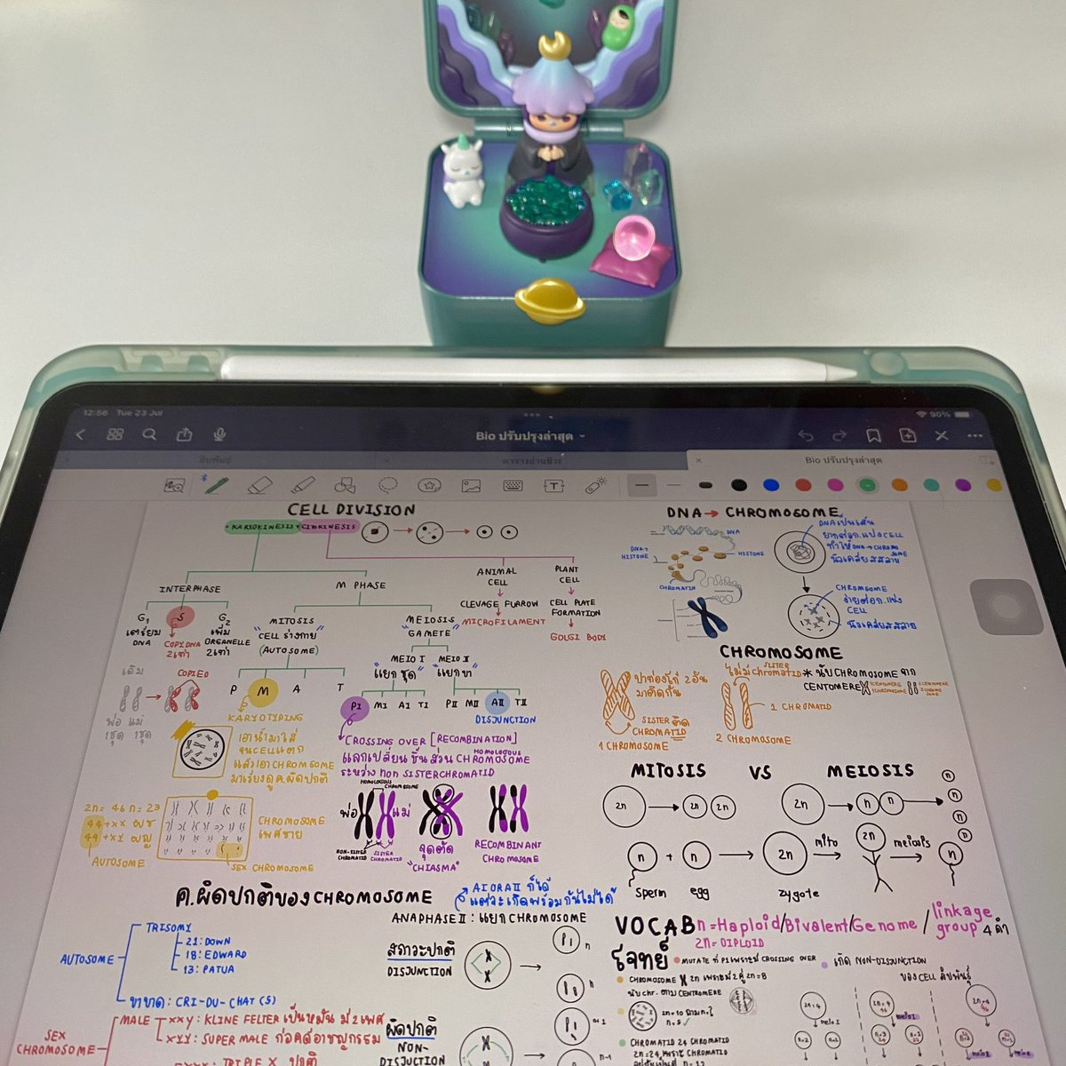 lemonie_ppie's tweet image. D 237-236 อ่านหนังสือได้น้อยอีกแล้ว นอนก็เยอะ ไม่อยากทำอะไรเลย แต่พรุ่งนี้จะพยายามกลับมาขยันให้ได้😭 พอยิ่งขี้เกียจก็ยิ่งรู้สึกห่างจากความฝันมากขึ้นเท่านั้น #วันนี้dek68ทำอะไร #dek68 #lemoniepie
[6HR]2วัน ⭐️
🦷ENG vocab GRAMMAR
🦷BIO ระบบสืบพันธุ์ แบ่งเซลล์
🦷MATH VACCINE