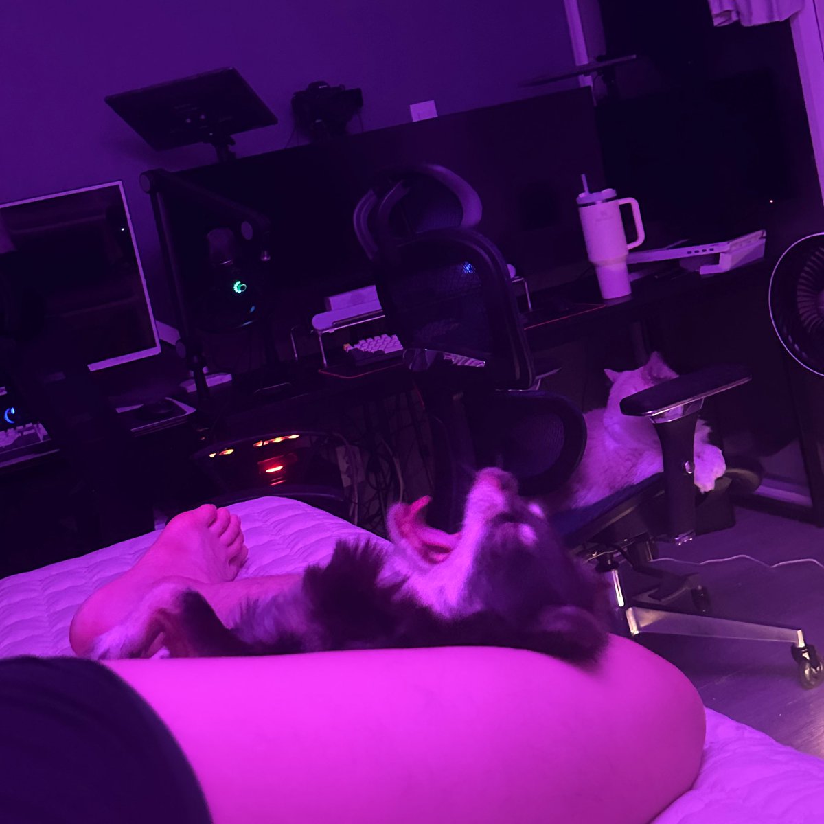 창민 (@cmkim16) on Twitter photo 