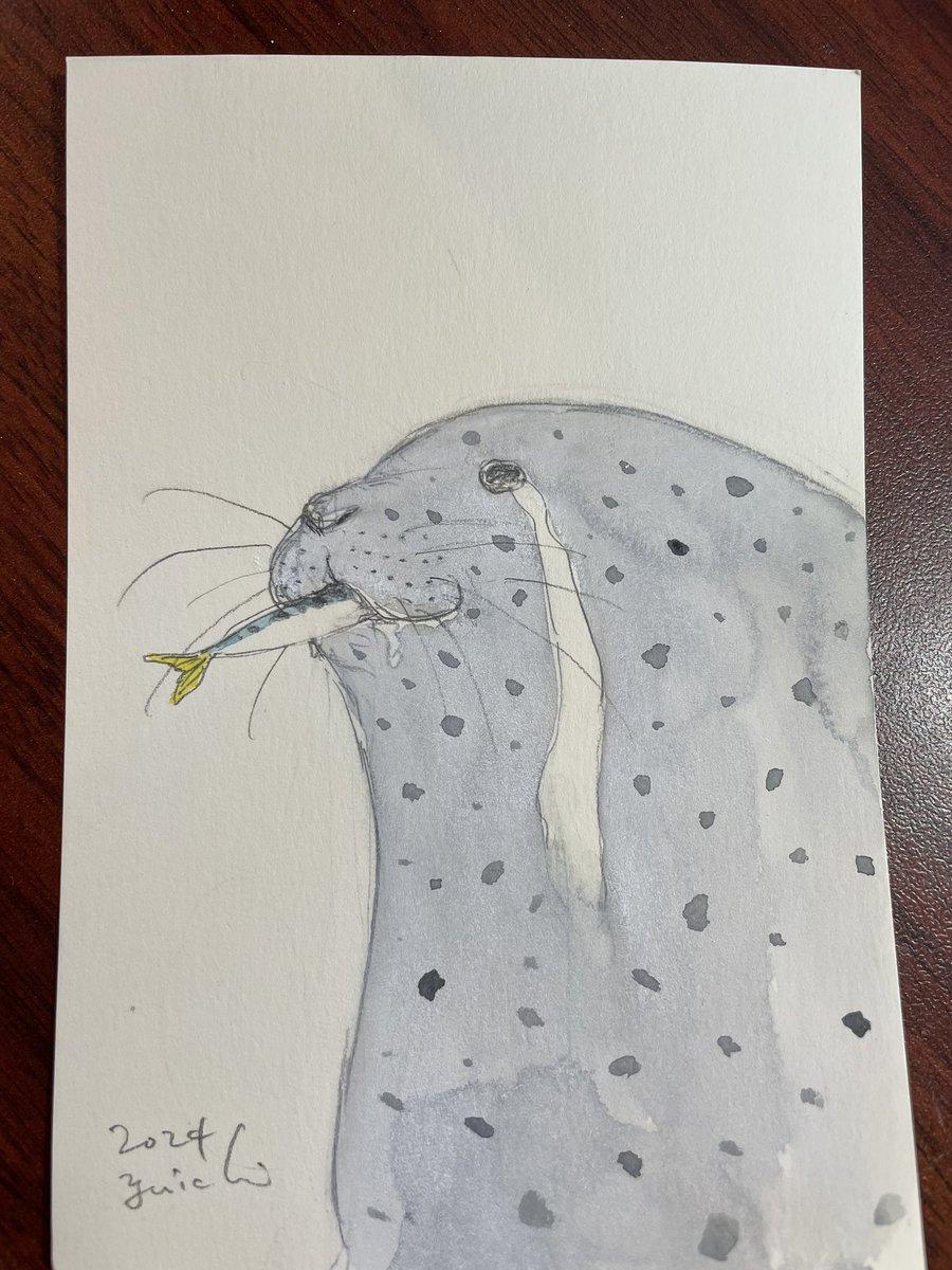 「お魚の美味しさに感動。」|sano yuichiのイラスト