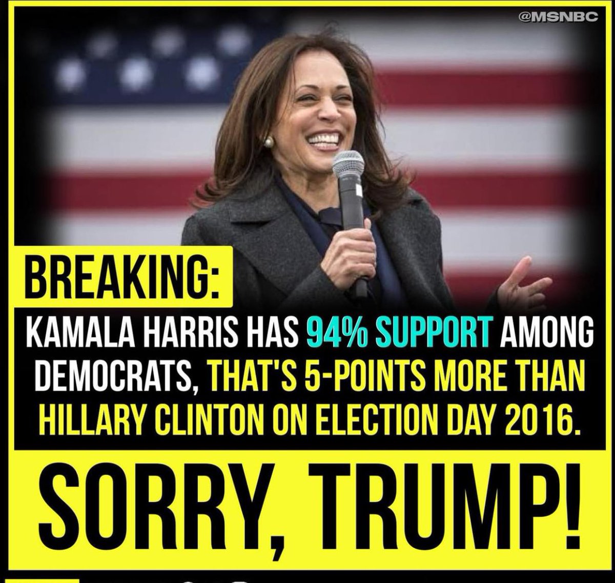 andrew_l83's tweet photo. No one #forced you @realDonaldTrump to #run a #smear @POTUS #Campaign you only did so because you have #no actual #platform to run on you #fall #asleep during the #RNC2024 and only #spew #vileness and #hatred in a #WordSalad #Kamala going to take you down on National TV 👏👏👏 https://t.co/gPThbhNAnW