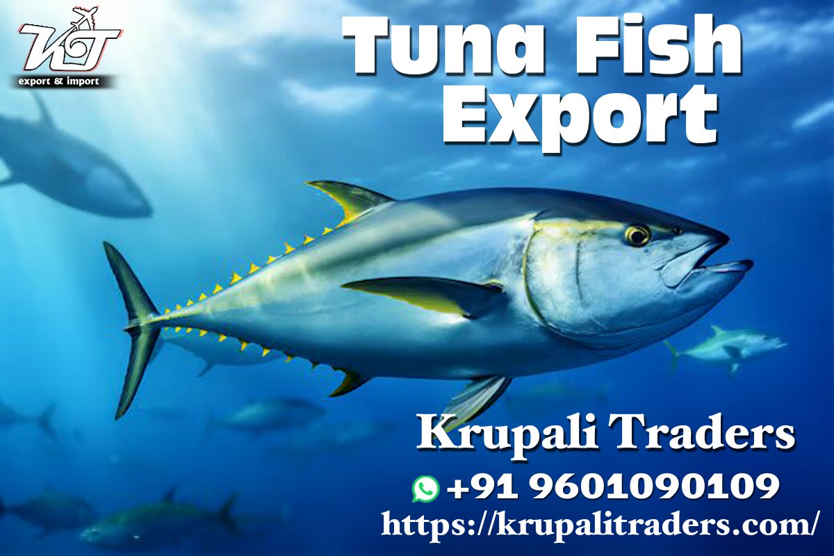 We have Tuna Fish  wide   variety of   quality and Yellowfin Tuna
Bluefin Tuna
Tuna Sushi
and fresh fruits and vegetables of quality and competitive prices.
My company website
krupalitraders.com
Email id krupalitraderss@gmail.com
WhatsApp and calling. +91 9601090109