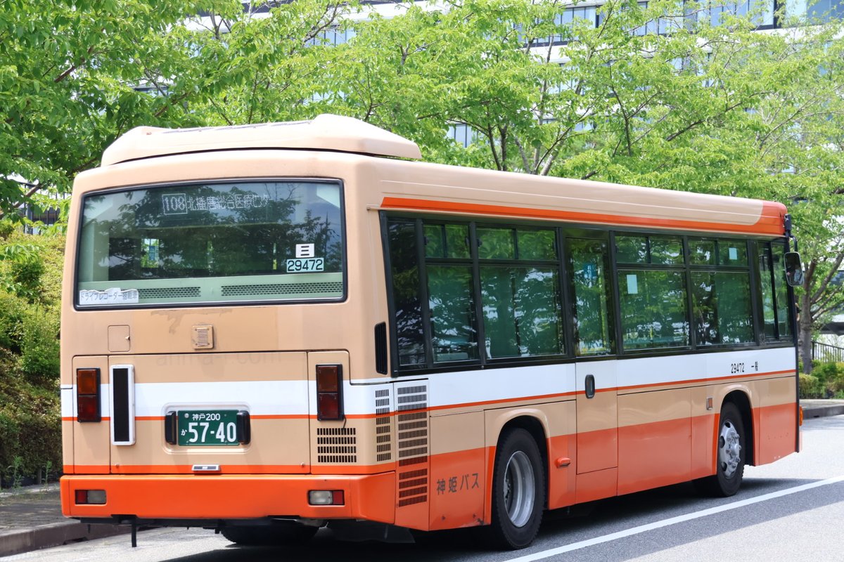 姫 GTJsxhabEAA8JXX.jpg