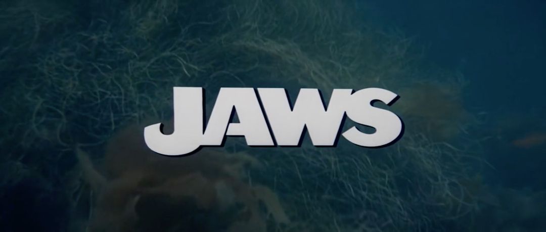 The Daily Jaws tweet media