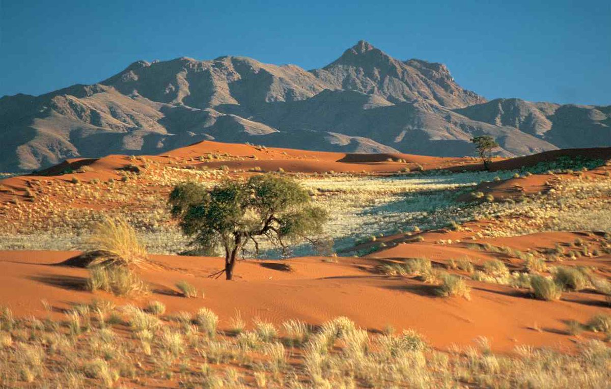 hallaboutafrica's tweet photo. Payback in Namibia. The great Southwest African nation where desert meets sea will start charging a US$100 visa fee to 32 non-African countries (and Mauritius) that do not grant Namibians visa-free entry to their countries. https://t.co/6xCzjHFtG3
