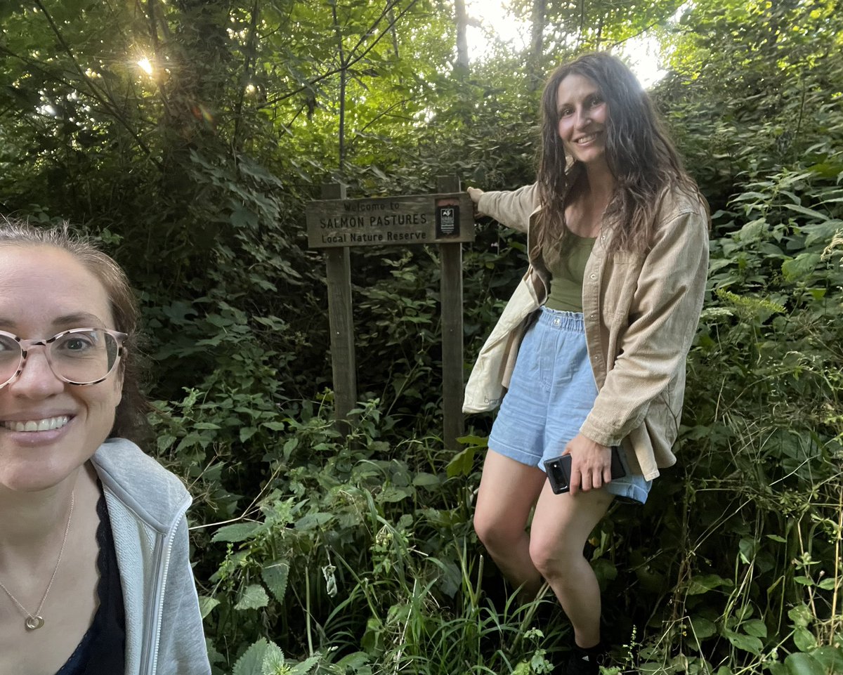 Shef Park Project tweet media