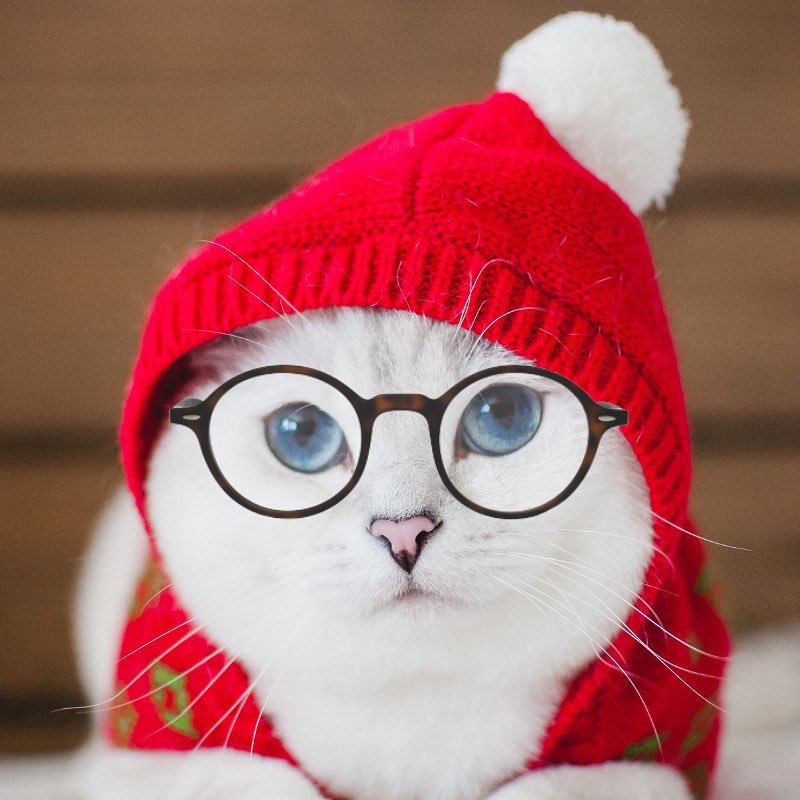 Too Cute <a href="/cutecatcoffee/">Mr.White Coffee Cat</a> 
Whats not to love
$WCC